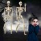 2 pcs 3 ft Life Size Human Skeleton with Full Body Posable Joints